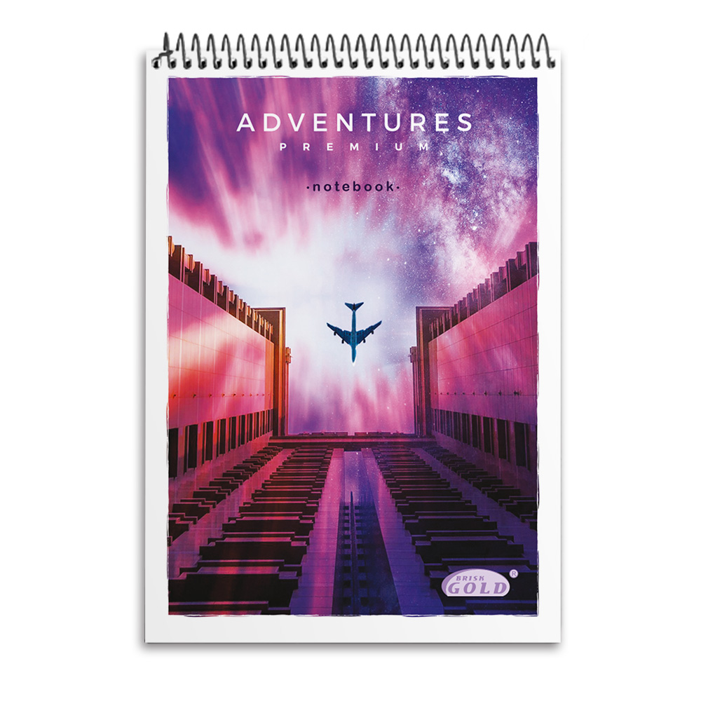 Notebook "Gold Brisk" A6/48 sheets. /СБВ-17/ #6773 upper spiral (15/315)