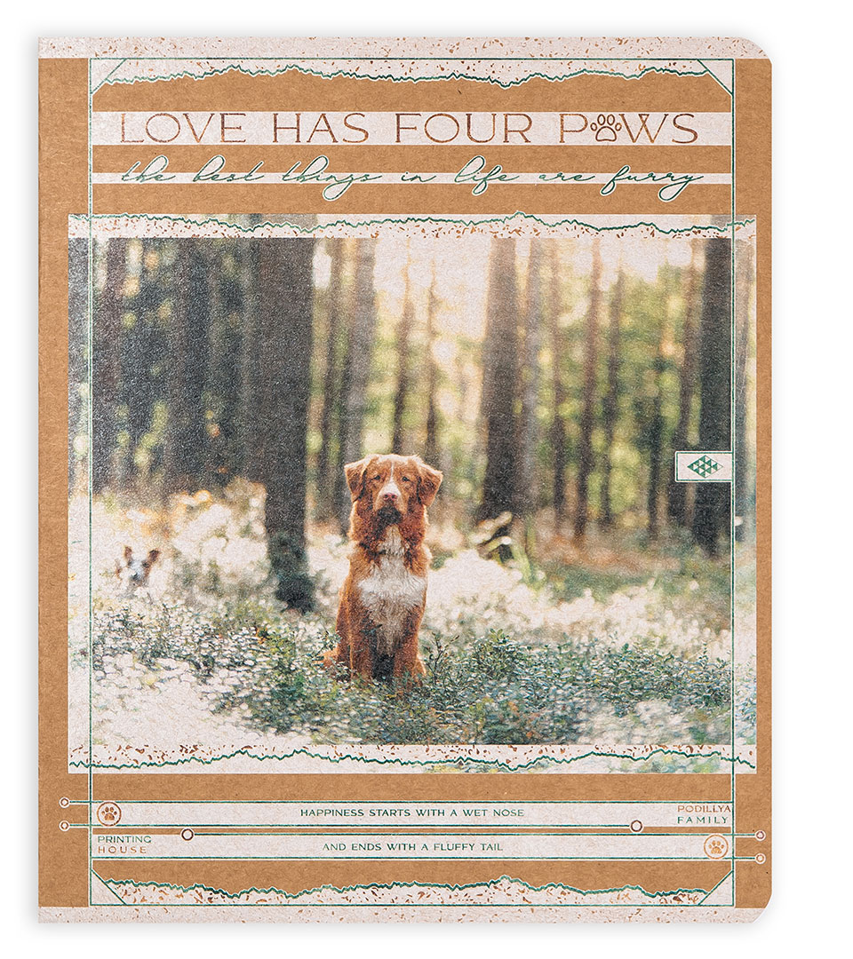 Student's notebook "Podillia" 48 sheets # Kraft /21436/ "Sunny meadow" (10/200)