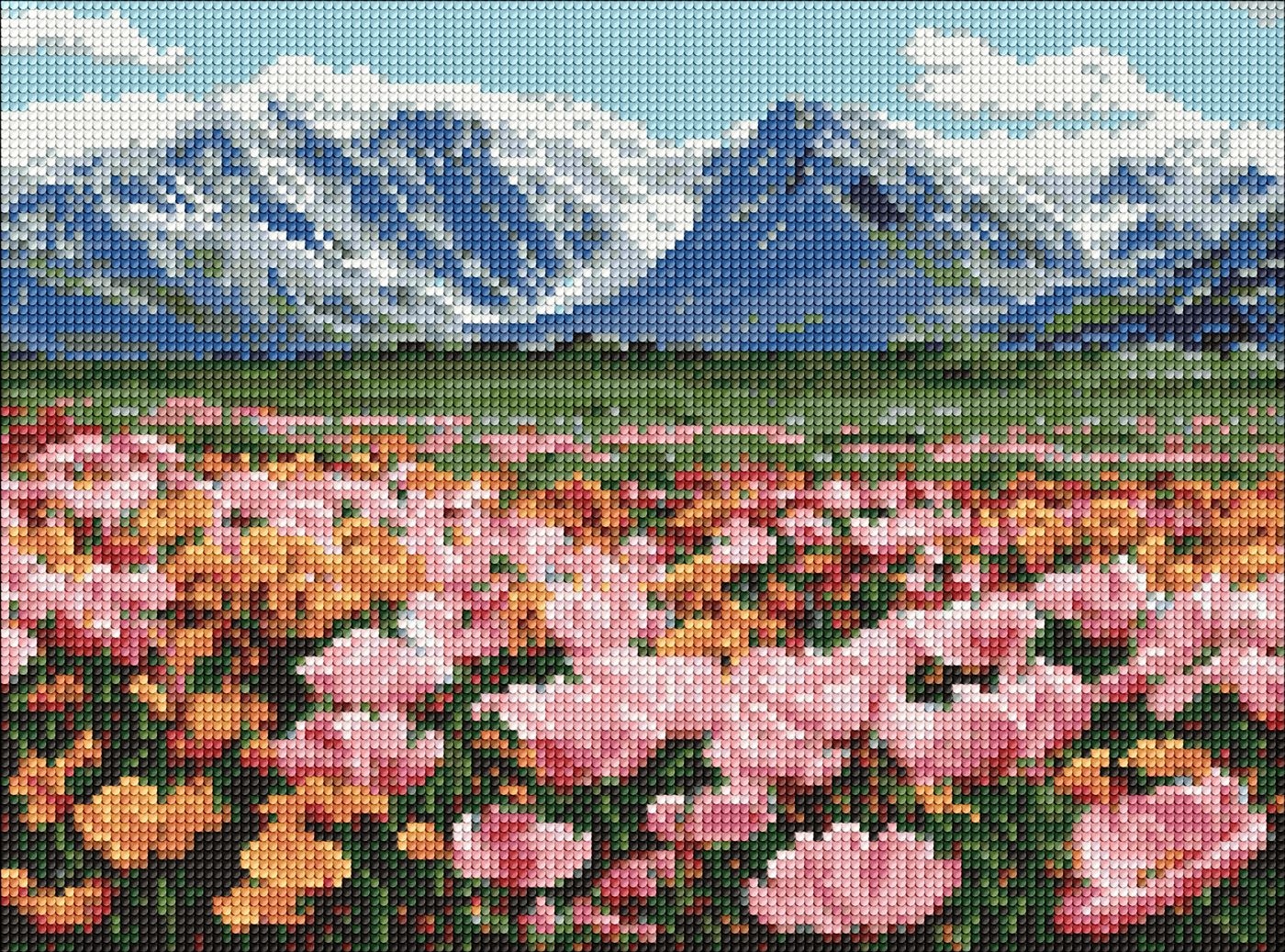 Diamond mosaic "Ideyka" /AMO20347/ "Mountain field of flowers" 30*40cm