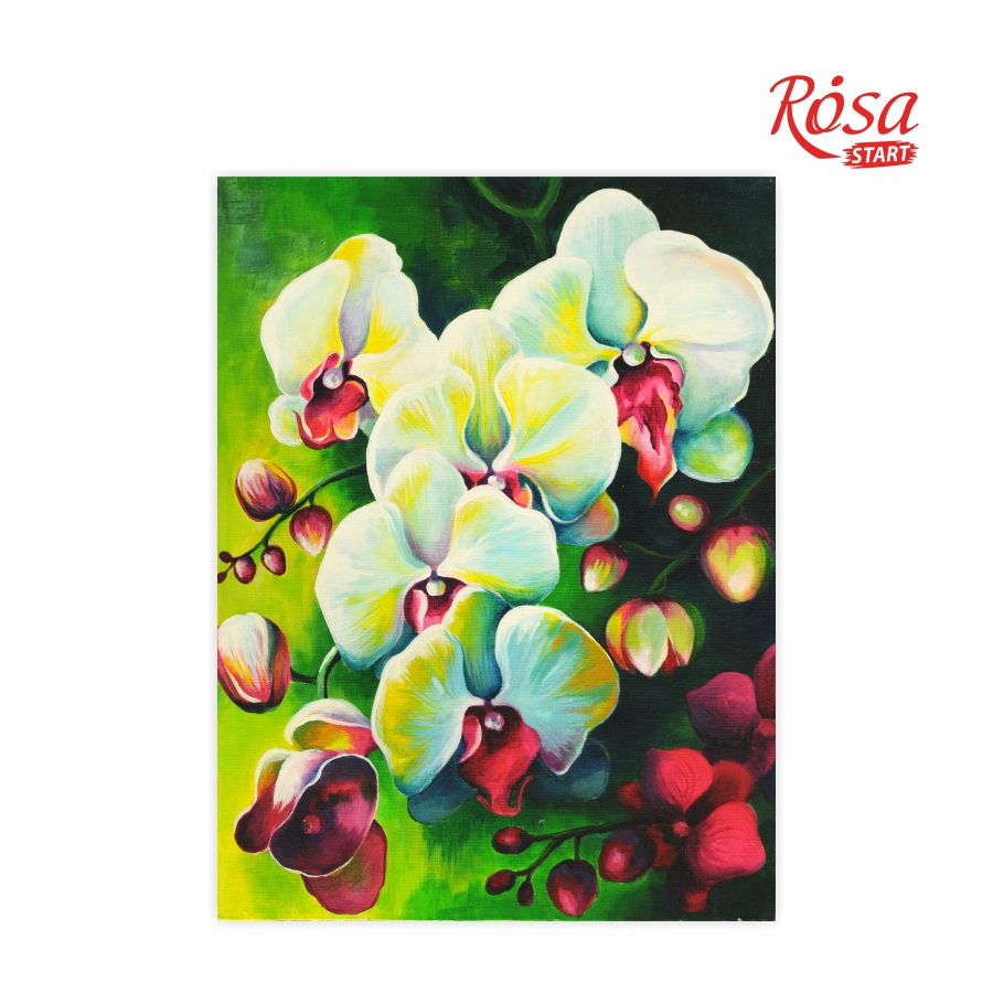 Painting on cardboard with a contour "ROSA START" 30*40 Still life No. 18 "White orchids" /546/ WITHOUT PAINTS