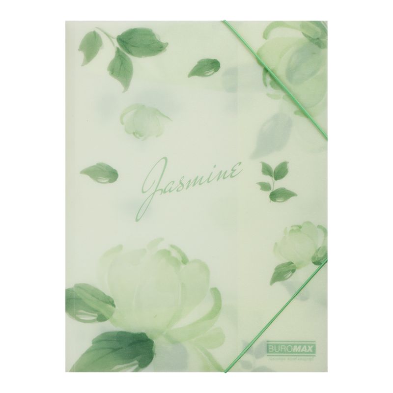 Folder on rubber bands A4 "BuroMAX" /BM.3908-38/ matte plastic, ARABESKI, mint (1/12/180)