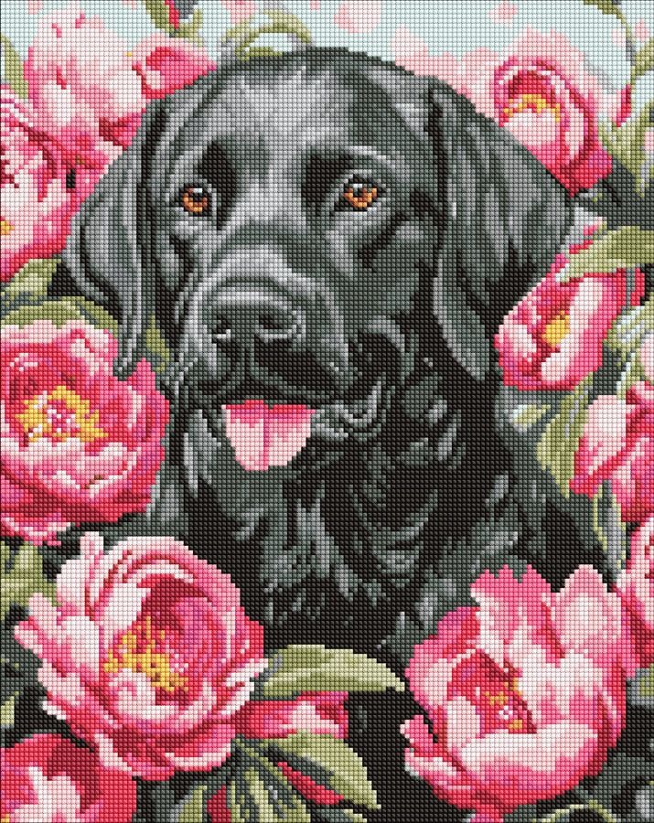 Diamond mosaic "Ideyka" /AMO20084/ "Dog in peonies" 40*50cm
