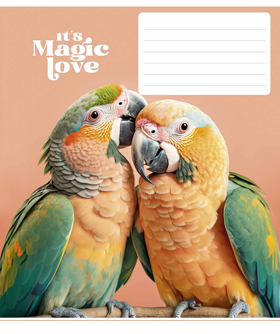 Зошит уч. "Star" 12арк.== /3300L/ "It's a magic love" ВД-лак (нейт) (30/360)