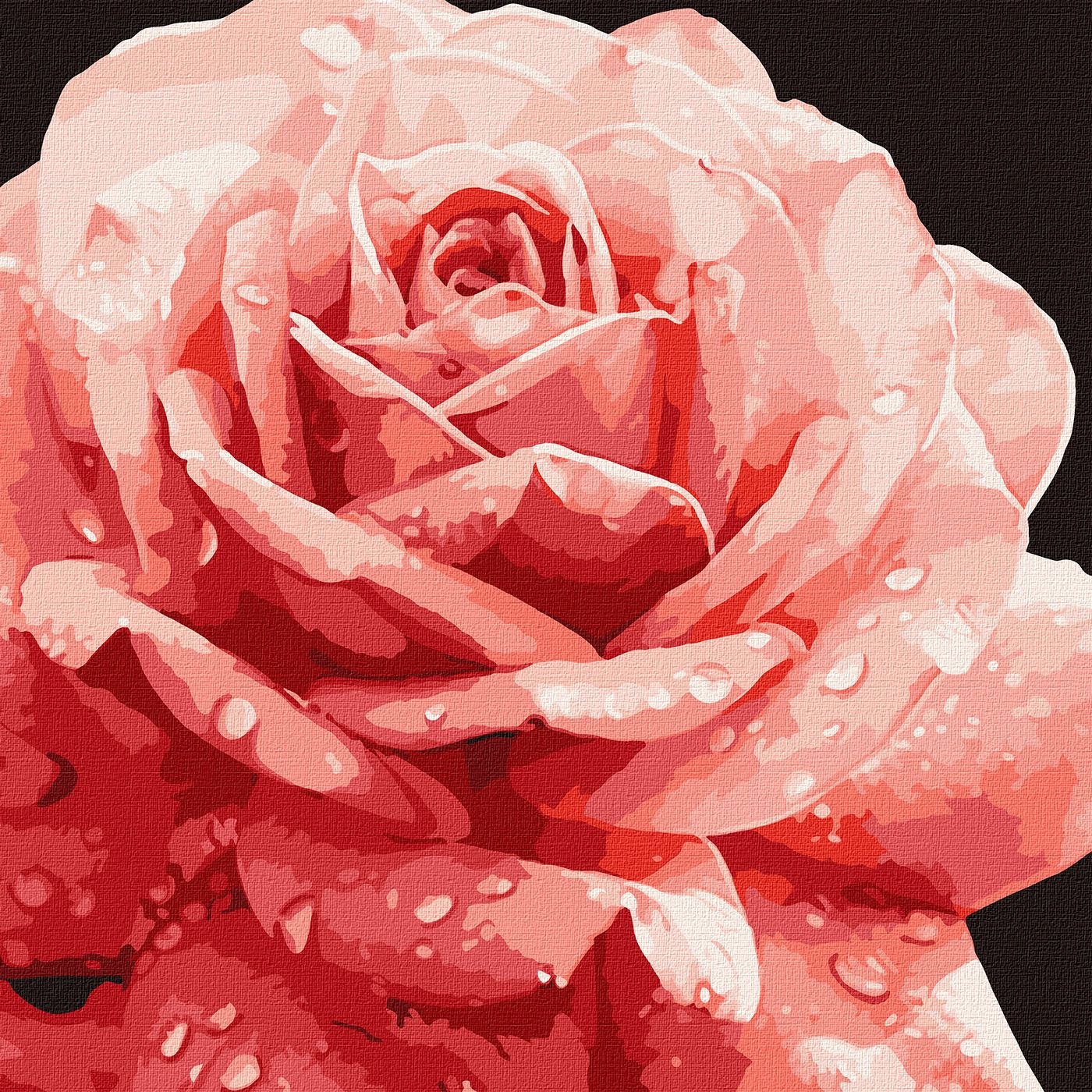 Painting by numbers "Ideyka" /KHO3236/ "Perfect rose" 40*40cm