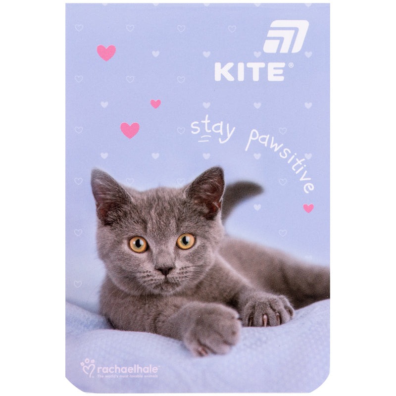 Notebook 70*105mm/48 sheets. "Kite" /R26-224/ Rachael Hale (1/10)