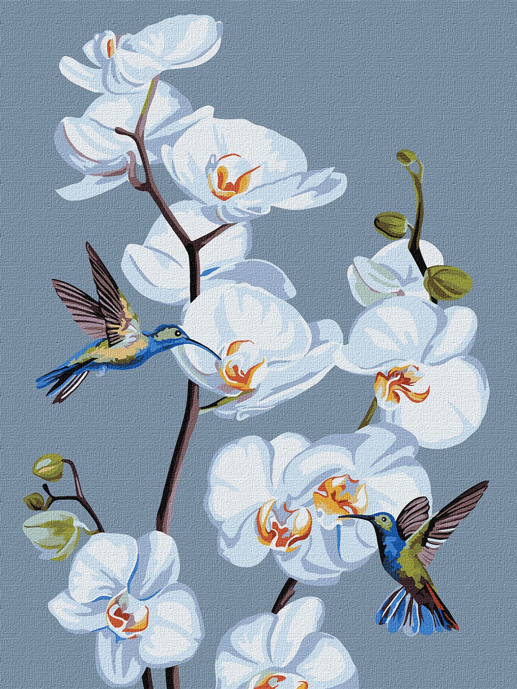 Painting by numbers "Ideyka" /KHO3241/ "Blooming orchids" 30*40cm