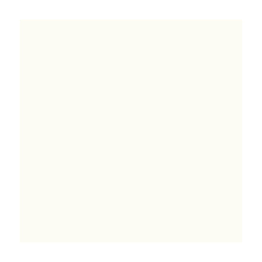 Design paper A4 (21*29.7cm) "Folia" Fotokarton No. 00 White, 300g/m2 (10)