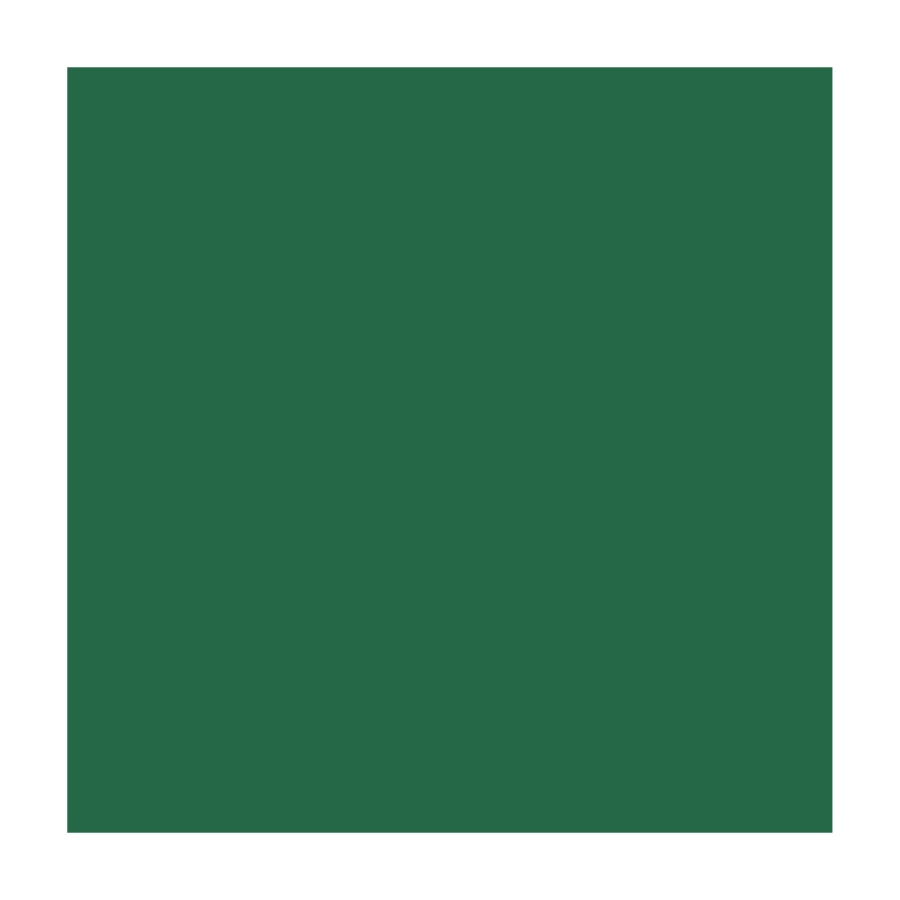 Design paper A4 (21*29.7cm) "Folia" Fotokarton No. 58 Coniferous green, 300g/m2 (10)