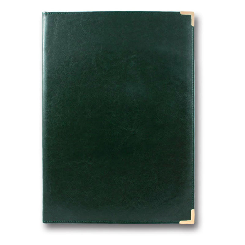 Living room folder A4 "Clean" "Brisk" PPV-5 "Sarif" GREEN (1/20)