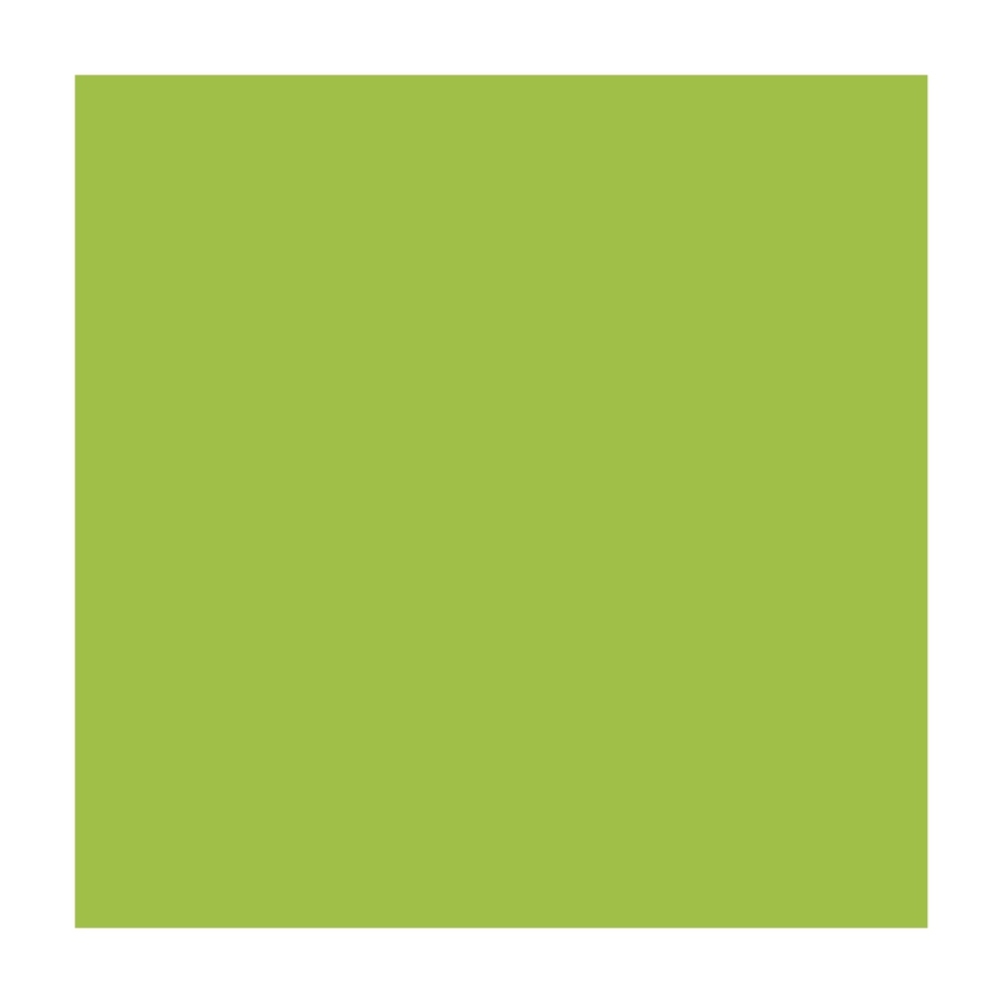 Design paper A4 (21*29.7cm) "Folia" Fotokarton No. 50 Light green, 300g/m2 (10)