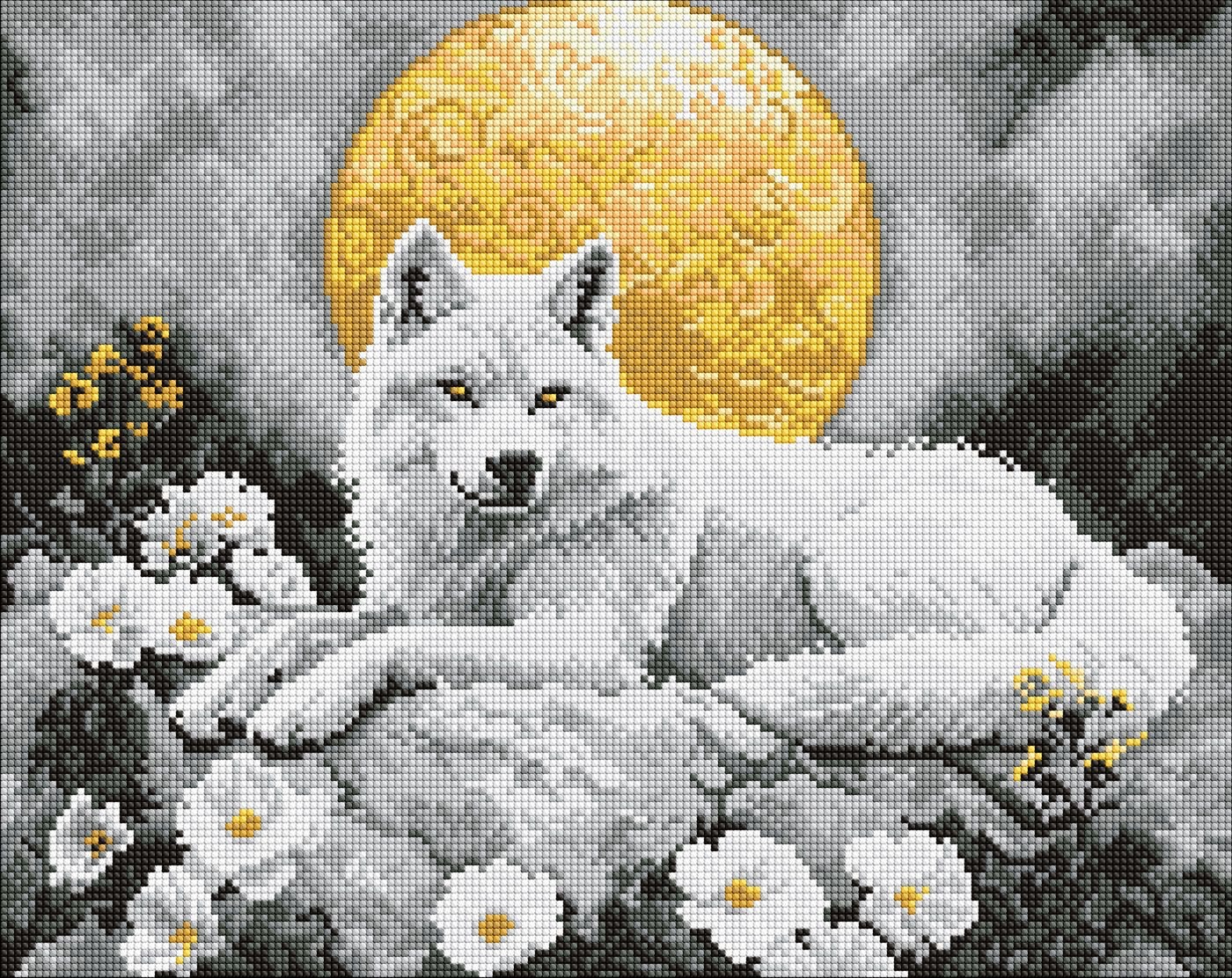 Diamond mosaic "Ideyka" /AMO8244/ "Under the moonlight" 40x50cm