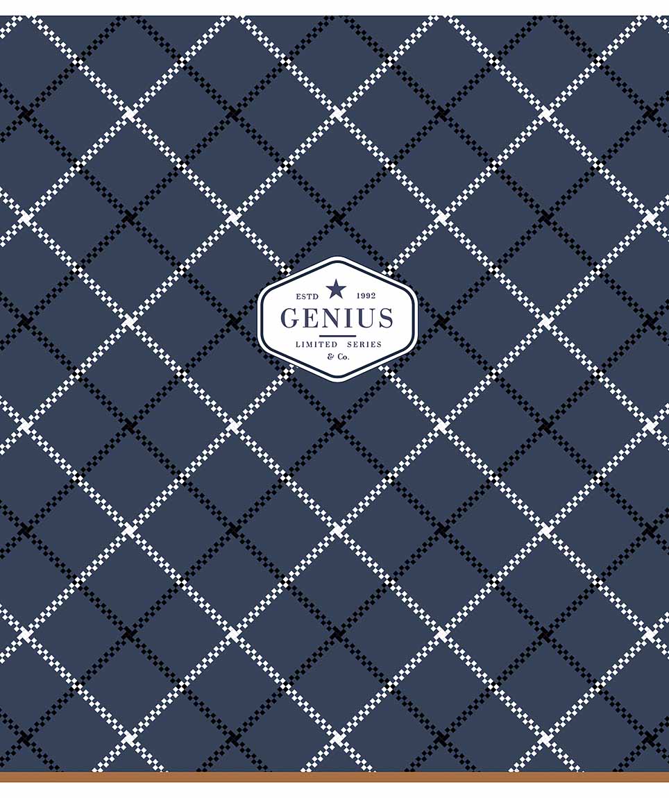 Student's notebook "Genius" 12 sheets == /2900L/ "Your genius choice" Soft touch varnish (boy) (30/300)