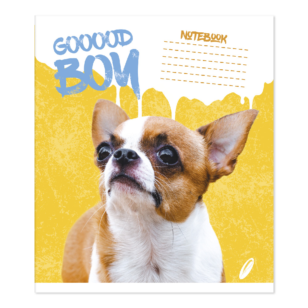 Student's notebook "Feather" 24 sheets == /TV-309/ №0158 Beautiful boy, offset paper 50-53 g/m2 (20/400)