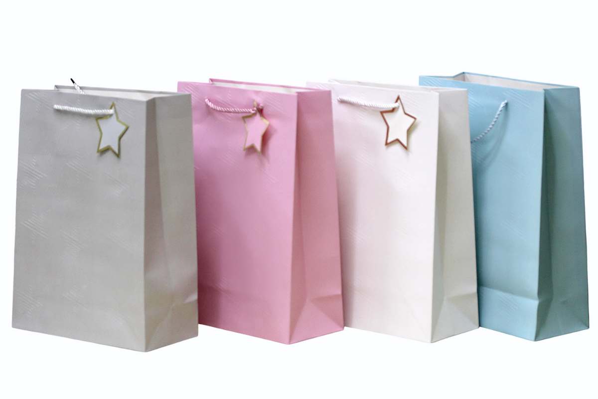 Gift bag 18*23*10cm "WB" /Q592S/ with embossing (12)