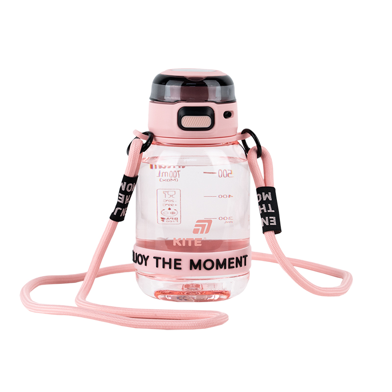 Water bottle "Kite" /K25-1218-3/ 700 ml, pink-gray (1/48)