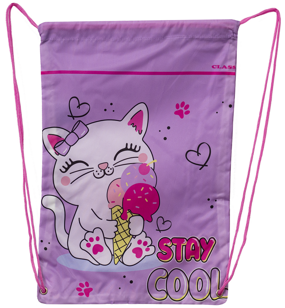 Shoe bag "CLASS" /2531C/ 46x33cm, "Cool Kitten"