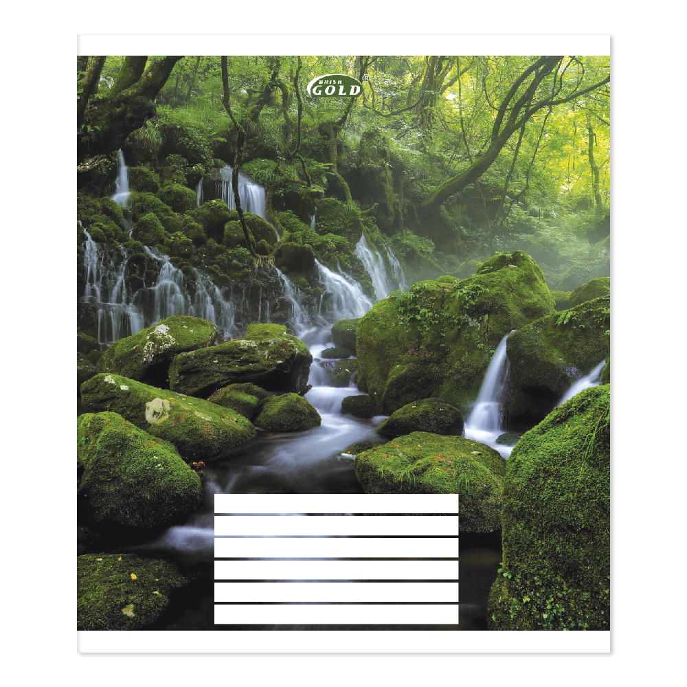 Student's notebook "Gold Brisk" 24 sheets == /TV-49/ №3524 Enchanted forest, 60g/m2, UV varnish (20/400)