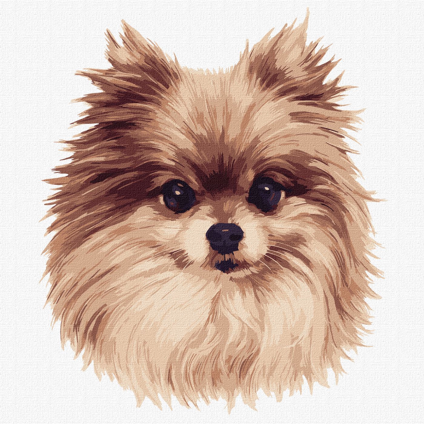Painting by numbers "Ideyka" /KHO4298/ "Fluffy miracle" 30x30cm