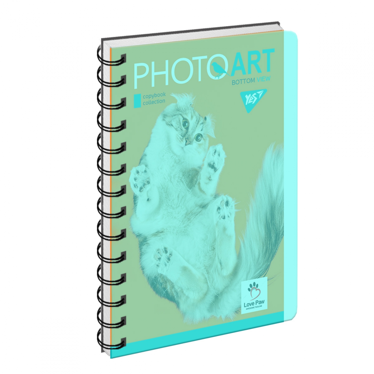 Notebook "YES" B6/144 3 in 1 /160143/ "Photoart" #, plastic cover, with section. (3/30)