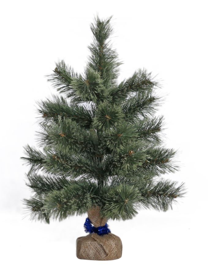 Pine "Yes! Fun" /903347/ h-0.60 m "Laplandia" ind/up