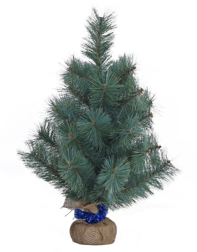 Pine "Yes! Fun" /904188/ h-0.60 m "New Year's blue" ind/up