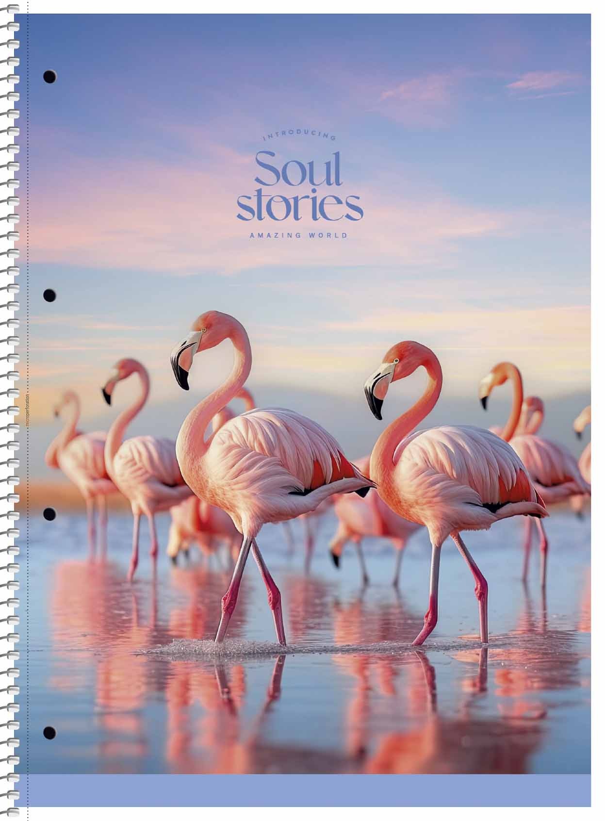 Notebook A4+/80 sheets. "Student" spiral TV/connection /A4-080-6711L/ ==, cream block, matlam, 70g/m2 (4/36)