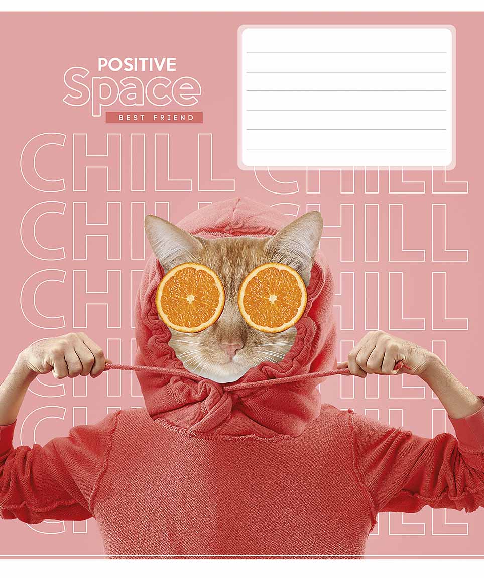 Student's notebook "Schoolboy" 12 sheets == /3006L/ "Positive space" (nate) (30/300)