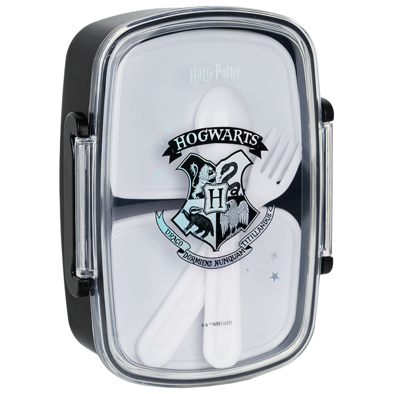 Lunch box with filling "Kite" /HP25-181/ 750 ml, Harry Potter (1/24)