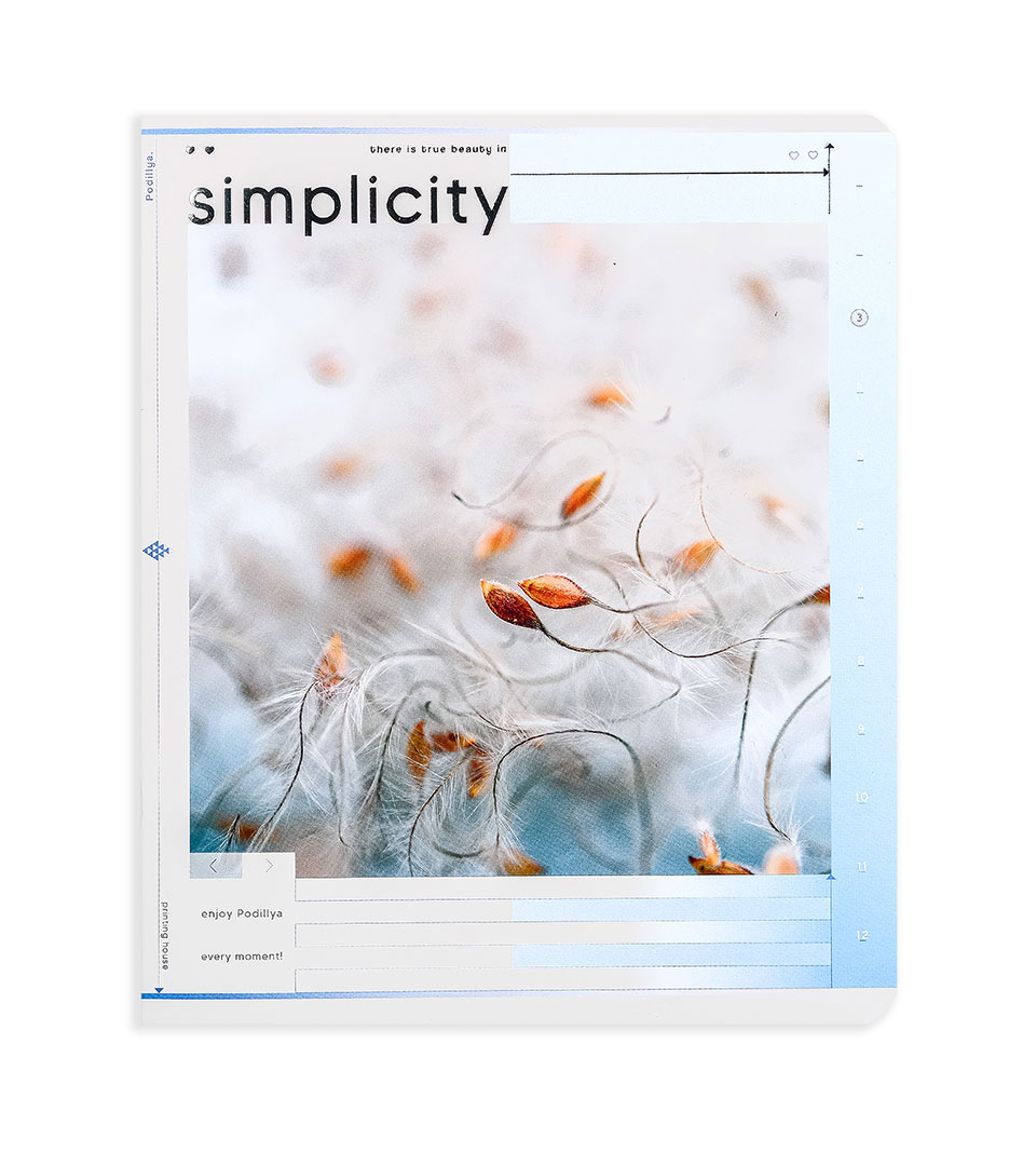 Student's notebook "Podillia" 48 sheets # /21179/ "Beauty in Simplicity" printed ash (10/200)