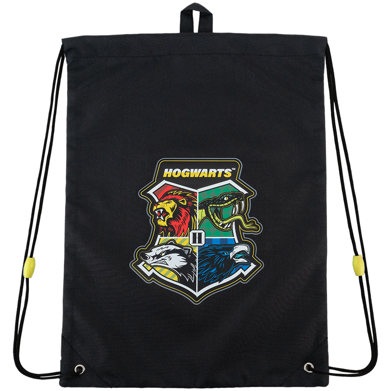 Shoe bag "Kite" /HP24-600M/ 600M Harry Potter (66407) (1/20)