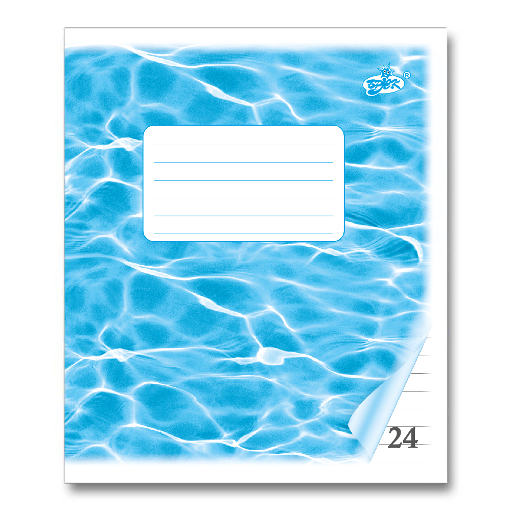 Student's notebook "Brisk" 24 sheets == /TV-52/ BACKGROUND (20/400)