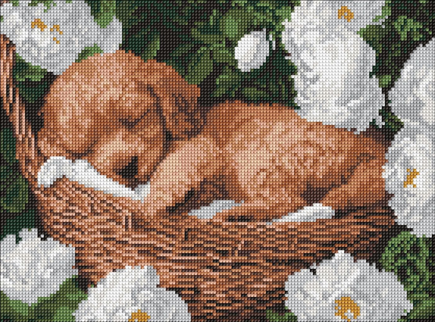 Алмазна мозаїка "Ідейка" /AMO8170/ "Сплячий пудель" 30*40см