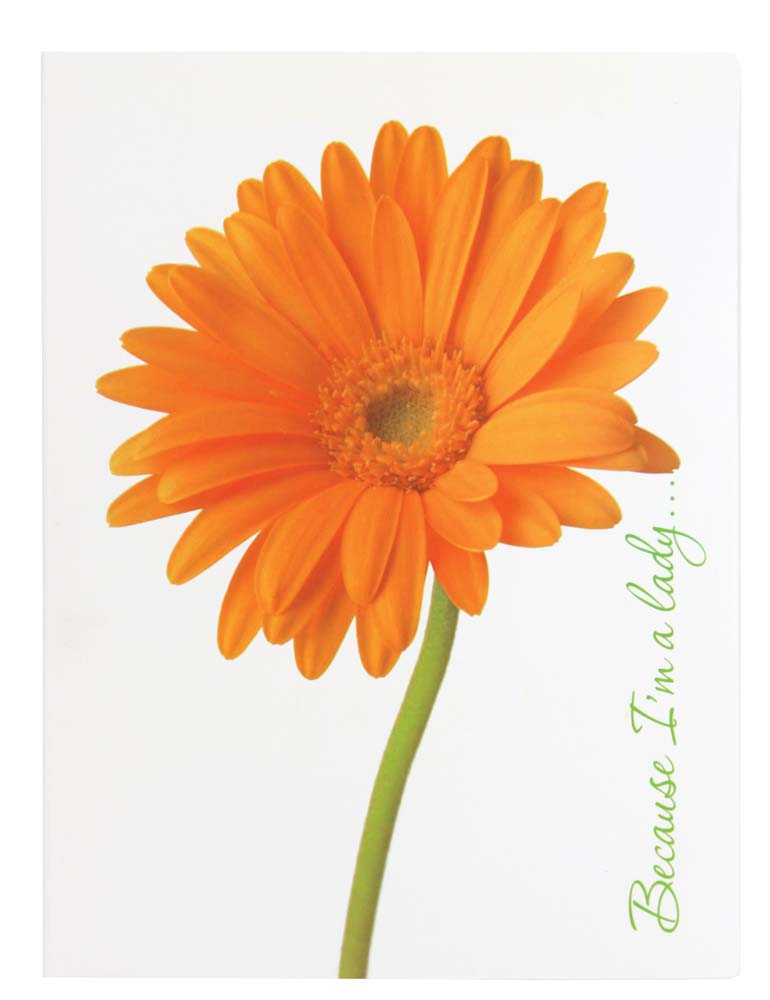 "Leo" side press folder /490625/ L5812 A4 "Because I am a Lady" by Gerber (1/20/120)