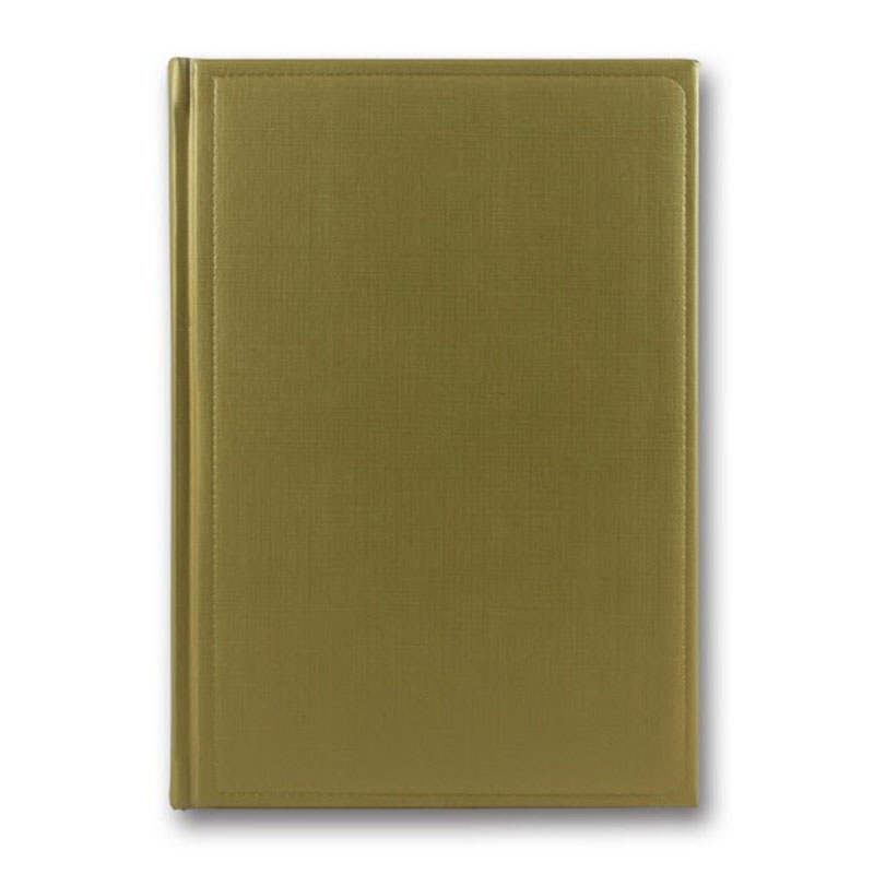 Diary ZV-43 n/date "Gospel" golden 168 sheets. == 142x203 (10)