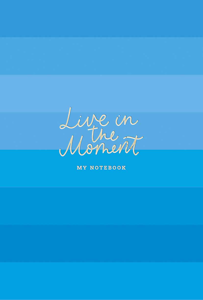 Notebook "MonAmi" A5/96 sheets. /A5-IC-096-797/ integrated cover, 3 types of alignment, white block, 80g/m2, soft touch + embossing (4/32)