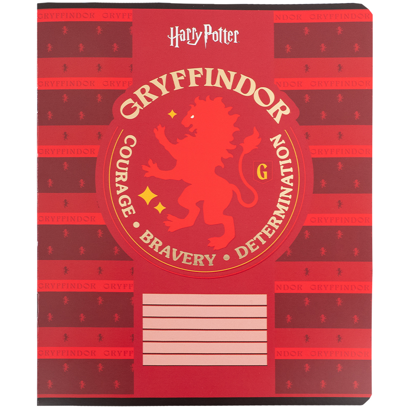 Student's notebook "Kite" 18 sheets # /HP25-236/ foil + UV varnish, Harry Potter (20/400)