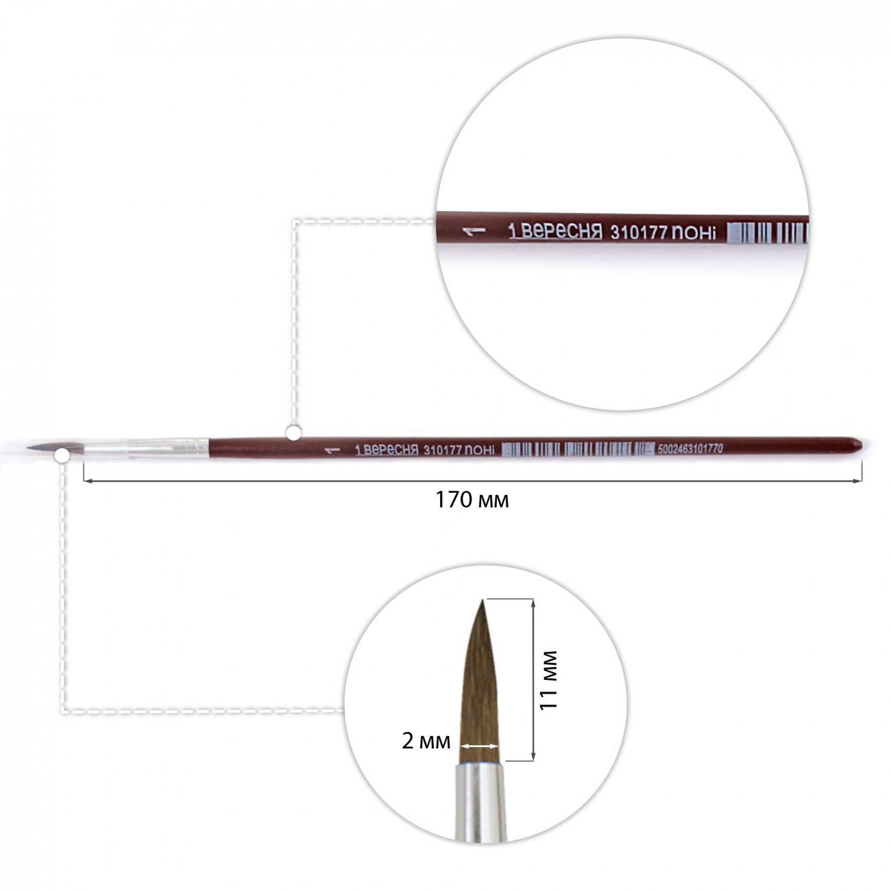 Round pony brush "1B" /310177/ #1 (12/144)