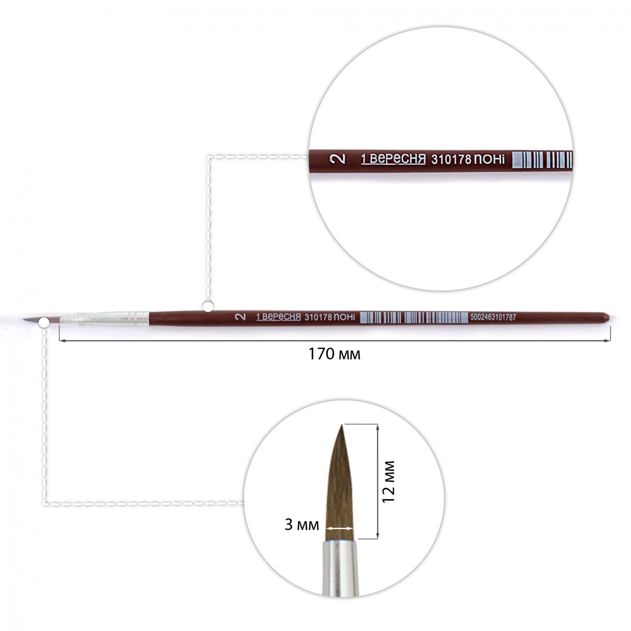 Round pony brush "1B" /310178/ #2 (12/144)