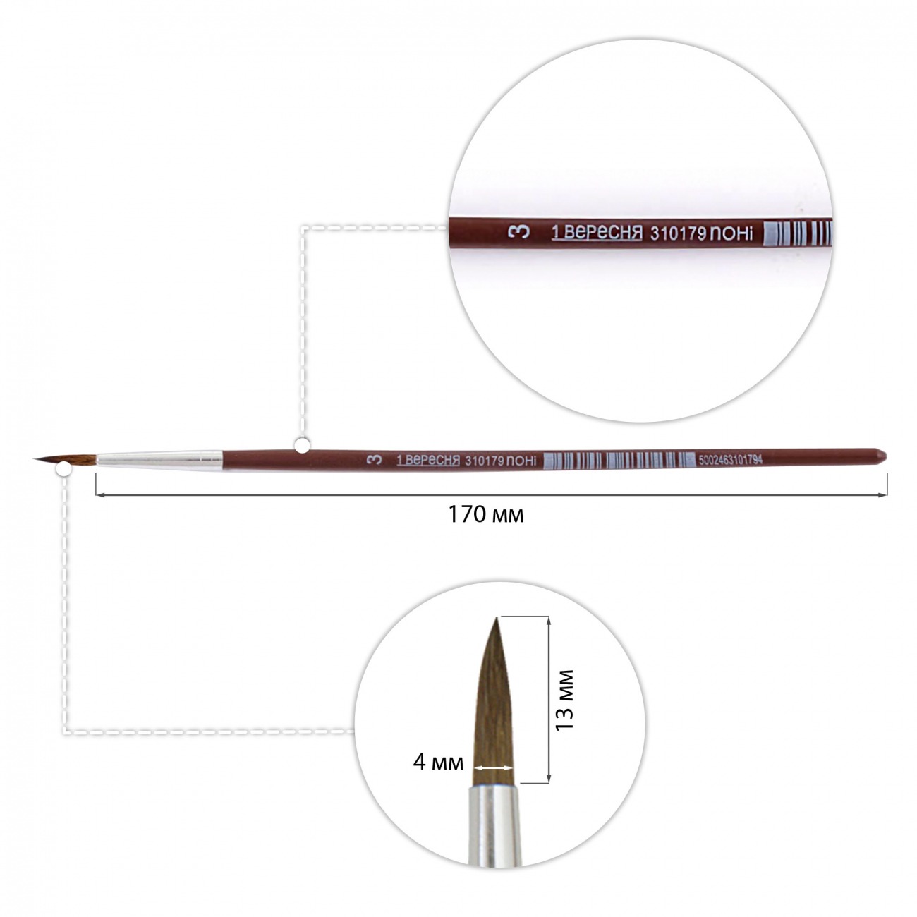 Round pony brush "1B" /310179/ #3 (12/144)