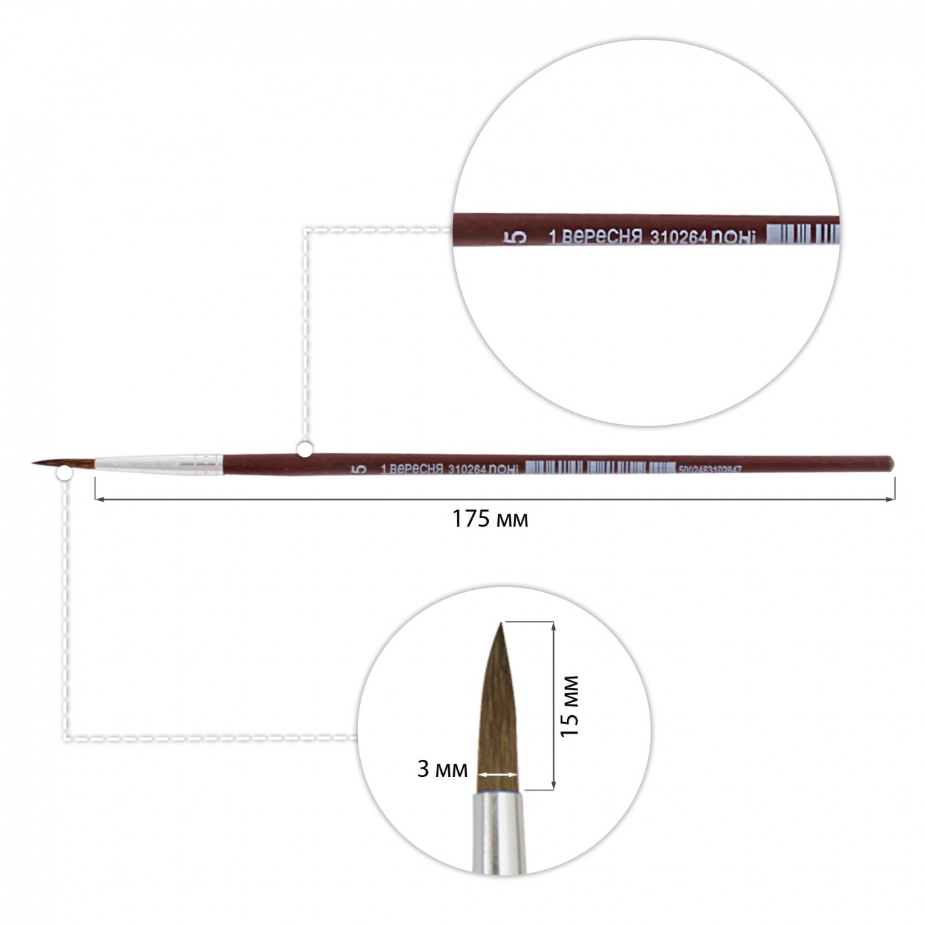 Round pony brush "1B" /310264/ №5 (12/144)