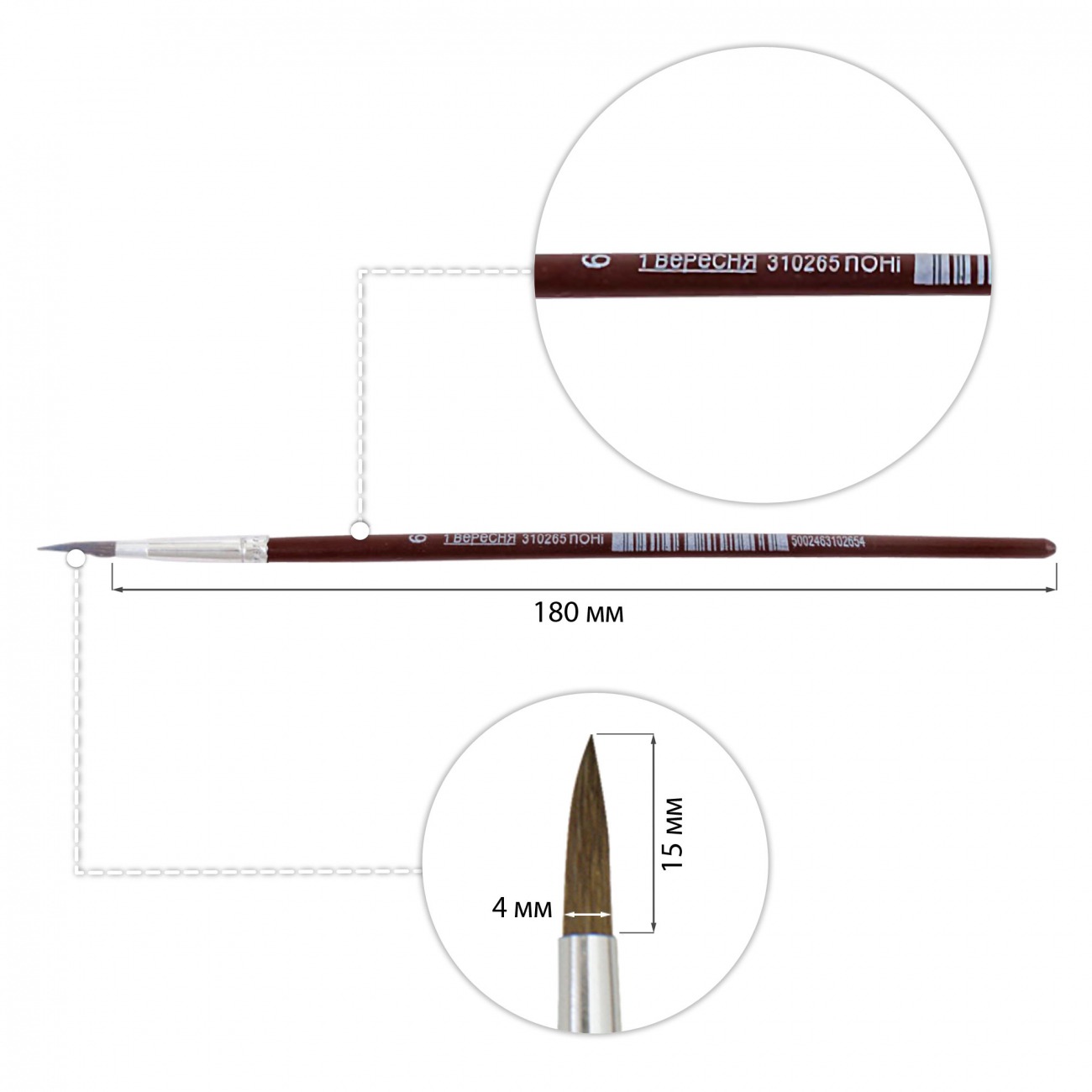 Round pony brush "1B" /310265/ №6 (12/144)