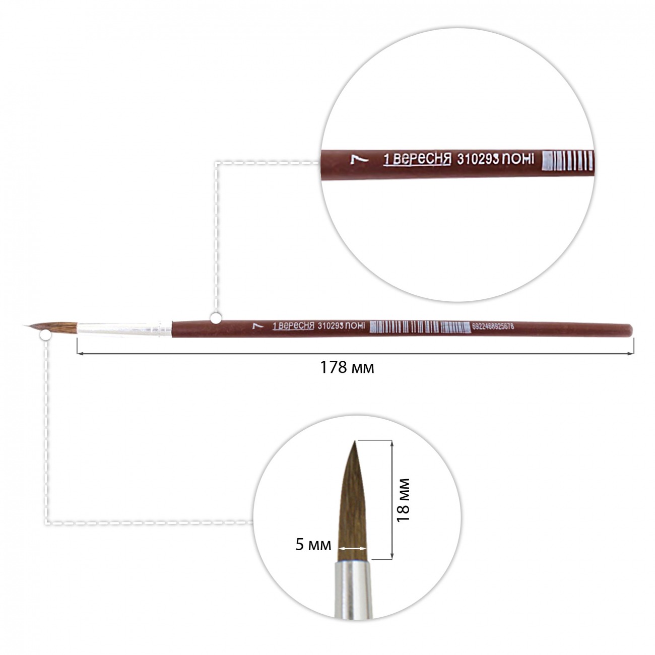 Round pony brush "1B" /310293/ #7 (12/144)