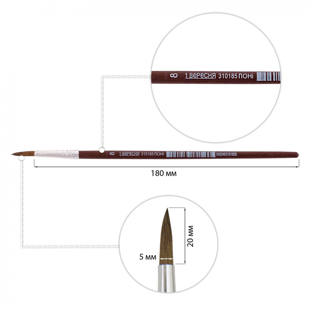 Round pony brush "1B" /310185/ #8 (12/144)