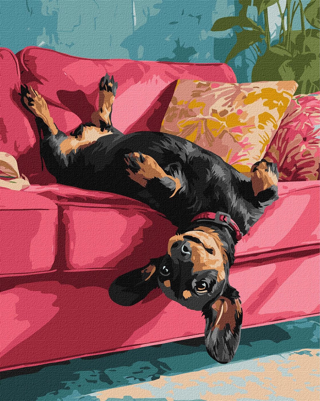 Painting by numbers "Ideyka" /KHO6853/ "Couch joy" 40*50cm