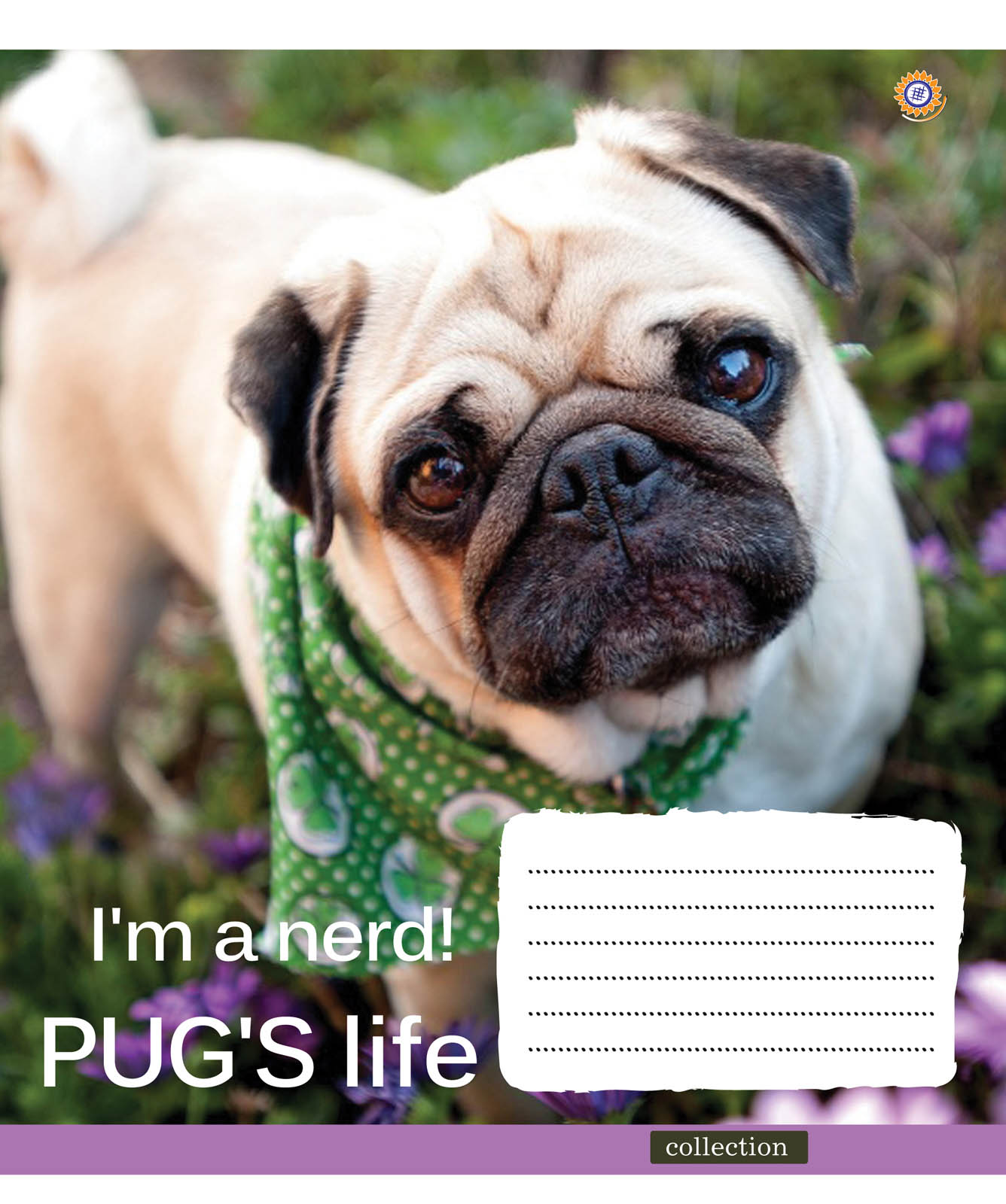 Student's notebook "ZU" 60 sheets == /795455/ "MOPS" (10/160)