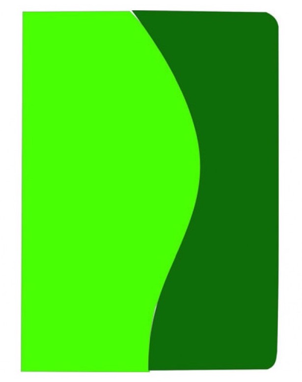 Diary ЗВ-43-К/02а n/date "Kombi" Corolla (Coventry)+Winner pistachio+green 168 sheets. == 142x203 (10)