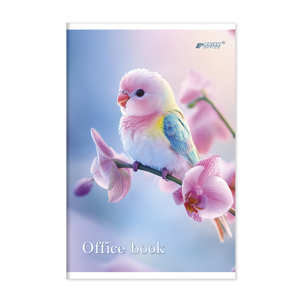 Notebook "Brisk" OFFSET A4/96 sheets. # TV-27 d/consp.8189 No. 1 (1-4) (5/60)
