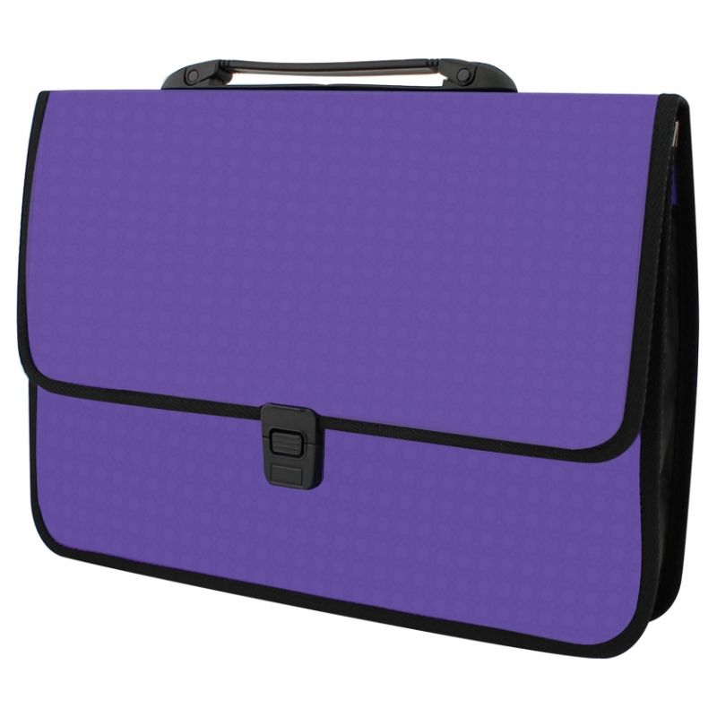Briefcase plastic A4 "ECONOMIX" /E31641-12/ with a clasp, texture "Vysyvanka", purple (1/8)