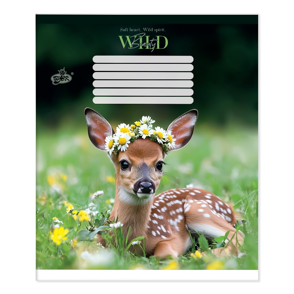 Зошит уч. "Бріск" 12арк.== /ТВ-107/ №2716 Дика гармонiя (25/500)