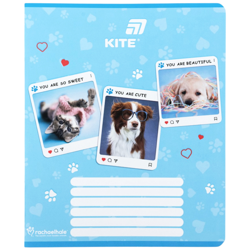 Student's notebook "Kite" 12 sheets # /R26-232/ soft touch + UV varnish, Rachael Hale (25/600)